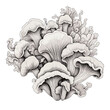 Mushroom isolated on white background. Hand drawn vector illustration.