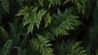 Lush jungle fern frond cut out Generative AI