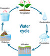 Water cycle. Schematic vector diagram