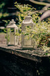 Green plants next to vintage white lanterns