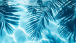 A blue leafy palm tree is reflected in the water