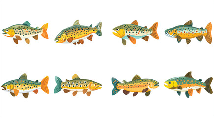 Trout fish, Cute trout fish illustration
