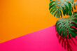 Vivid colorful summer background with monstera leaf. Vibrant orange and pink color studio scene with geometry shape and palm for product podium stand showroom mockup.