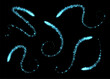 Magic swirls collection, blue light trails with sparkles, glowing light effect, shiny stardust isolated on black. Vector illustration.