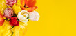Yellow flat background and multi-colored tulip bouquet. View from above. Flat layout. On a yellow table background, bright beautiful tulip flowers, banner.