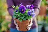 Fototapeta Lawenda - A woman is holding a potted plant with purple flowers