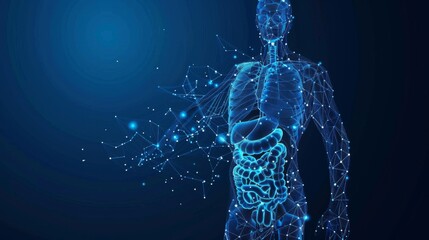 Wall Mural - low poly wireframe of a human body. modern image of a starry sky or space. consists of points, lines