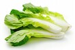 Fresh and Healthy Endive Lettuce. Isolated Green Leaf Vegetable for Salad on White Background