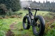 Washington Adventure on an Electric 'Fat Tire' eBike: Exploring Grass-Covered Trails with Alternative Energy