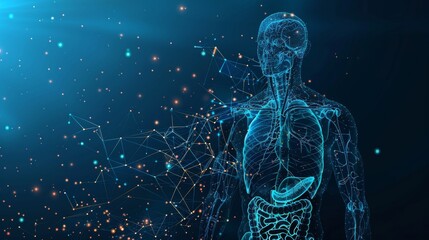 Wall Mural - low polywireframe of an abstract isolated human body on a blue background. polygonal top of body wit