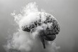 A brain is shown with smoke coming out of it. The brain is surrounded by a cloud of smoke, giving it a surreal and eerie appearance. Concept of confusion and disorientation