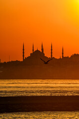 Wall Mural - suleymaniye mosque and the sunset, istanbul