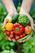 © sommersby - A person holding a variety of fresh vegetables in their hands, showcasing a harvest or trip to the market