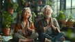 Elderly couple embracing peace and tranquility through meditation