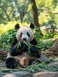 Panda eats bamboo, sits holding leaves with tongue out, lush tree background.