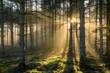 Silent Forest in Spring with beautiful bright sun rays in the morning.
