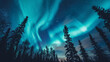 Spectacular Aurora Borealis Over a Silhouetted Pine Forest
