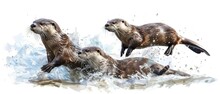 Three Otters Playing In The Water