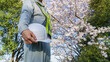 桜の花とヘルメットを持つ作業服姿の男性