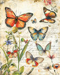 Vintage Rainbow Butterfly Background in Distressed Grunge Style