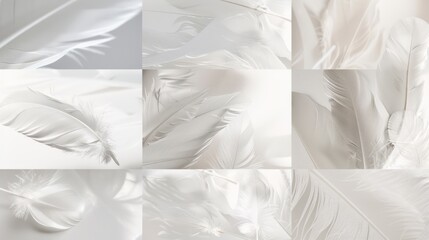 Wall Mural - Macro photography of white feathers, one isolated on a white background. Subtle and delicate beauty.