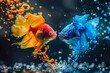 Vibrant goldfish and betta splashing in water