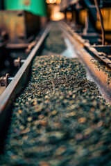 Wall Mural - tea in the factories industry. selective focus.