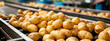 © yanadjan - potatoes in the factory industry. selective focus.