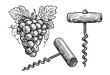 Hand drawn wine corkscrew in engraving style. Vector illustration. Vintage style sketch