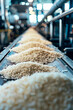 rice in the factory industry. selective focus.