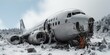 Blizzards wreak havoc as the remnants of a plane crash are strewn across the snowy landscape, a chilling reminder of the perils of winter travel.