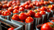 tomatoes in the factory industry. selective focus.