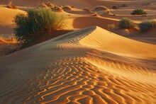 The Warm Light Of The Setting Sun Highlights The Rippling Patterns Of Sand Dunes, With Sparse Desert Vegetation Clinging To Life.