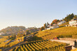 Regional train going through Lavaux golden vineyards, autumn landscape, Switzerland