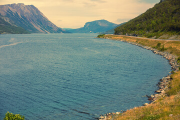 Wall Mural - Fjord on a cloudy day. Rocky seashore in the evening.  Beautiful nature of Norway. Picturesque Scandinavian landscape. Lofoten islands, Norway