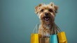 Energetic dog proudly showing off shopping haul. Concept Dog Photoshoot, Shopping Haul, Energetic Pet, Proud Pose, Playful Props