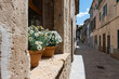 Kleine Gasse in der Altstadt von Alcudia (Mallorca)