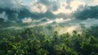 Tranquil Dawn in Tropical Rainforest with Misty Mountains Generative AI
