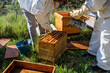 Two beekeepers at work, one with the smoker to calm the bees, the other working with a hive.