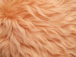 bright long Fur. Peach Fuzz color abstract background