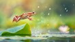 TOAD jumping in a pond with blurred background in high resolution
