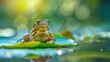 TOAD ON A LOTUS LEAF in a pond during the day at dawn in high resolution and high quality