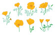 silhouettes of Eschscholzia flowers. California poppy - vector set of golden poppy