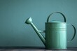 A vintage metal watering can, perfect for gardening, sits on a patch of green grass