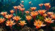   A cluster of orange blooms sits atop a verdant plant, dripping with water, adjacent to rocks