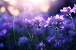 Field of Purple Flowers in Sunlight
