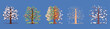 Fruit tree,apple tree,autumn,summer,winter,spring, vector,branches,foliage,birds,decorative,root,snow,cartoon,seasonal,wood,outdoor,set,snowflakes,december,isolated,illustration,tree trunk