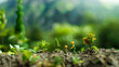 Miniature people : Farmer planting tree in the garden with bokeh background safety CSR responsibility friendly carbon neutral