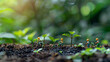 Miniature people : Farmer planting tree in the garden with bokeh background safety CSR responsibility friendly carbon neutral