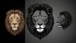 lion head portrait Isolated on a white and black background, a vector illustration of a black and white lion head. Logo design of a lion face with mane hair